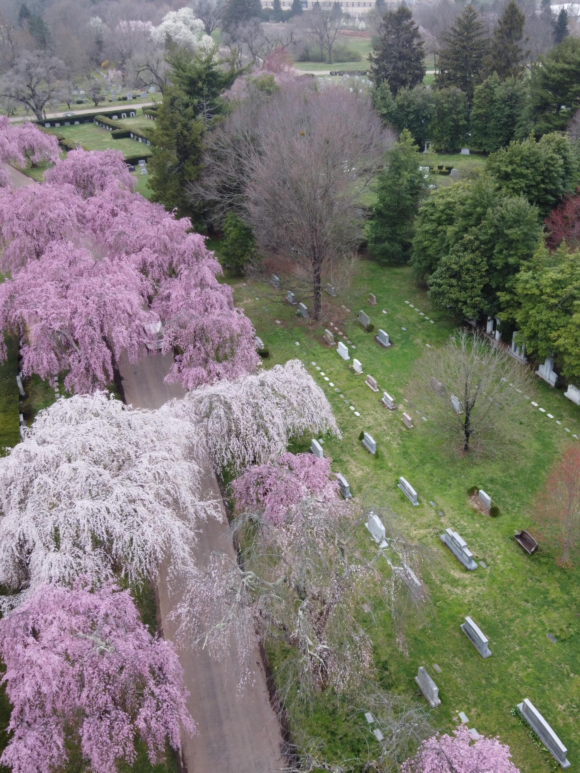 lexington-cemetery