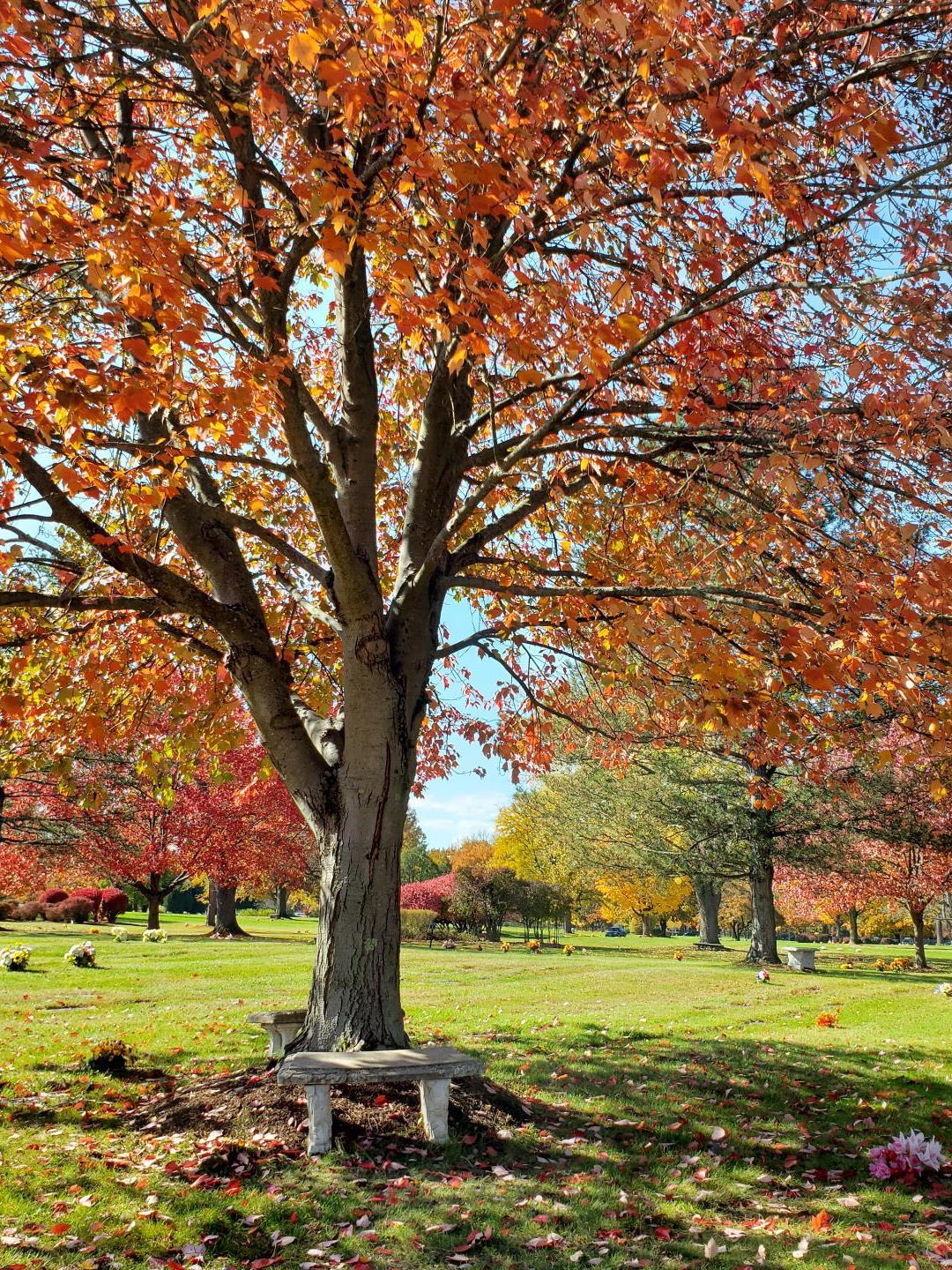 white-haven-memorial-park